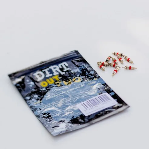 Jeu de 2 Coeurs de Valve Schrader