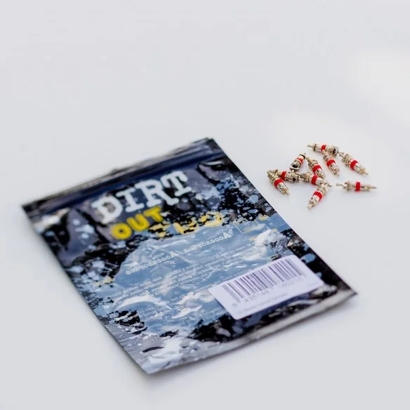 Jeu de 2 Coeurs de Valve Schrader