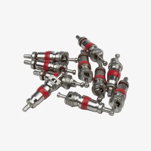 10 schrader valve cores