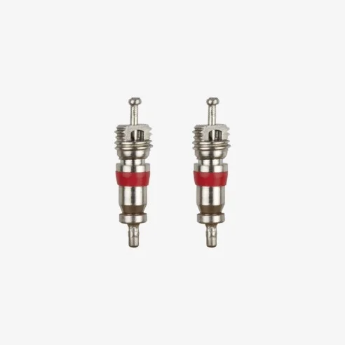 10 schrader valve cores