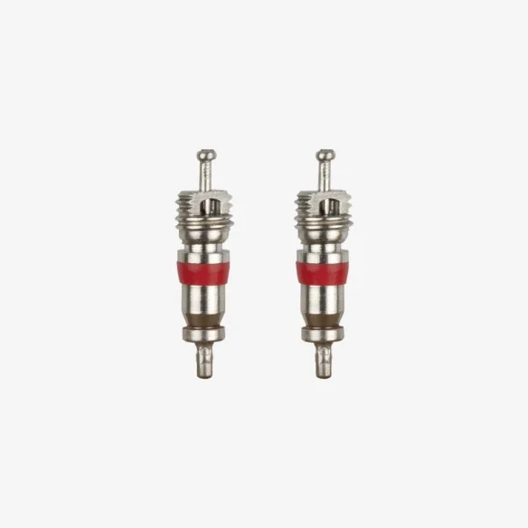 10 schrader valve cores