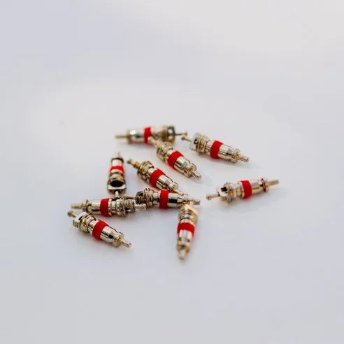10 schrader valve cores