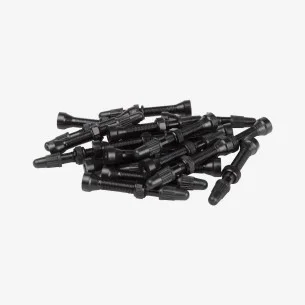 20 valves presta 60 mm tubeless