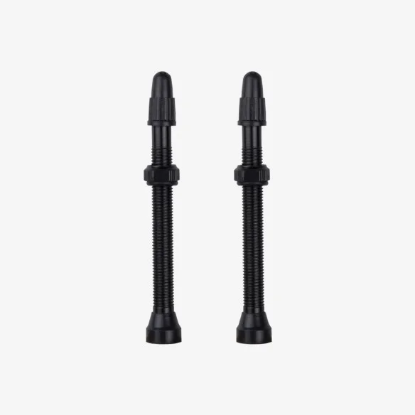 20 valves presta 60 mm tubeless