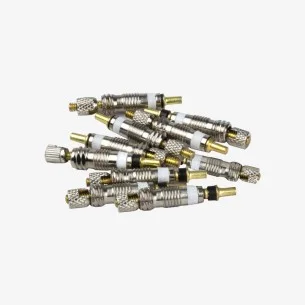 Jeu de 10 Coeurs de Valve Presta