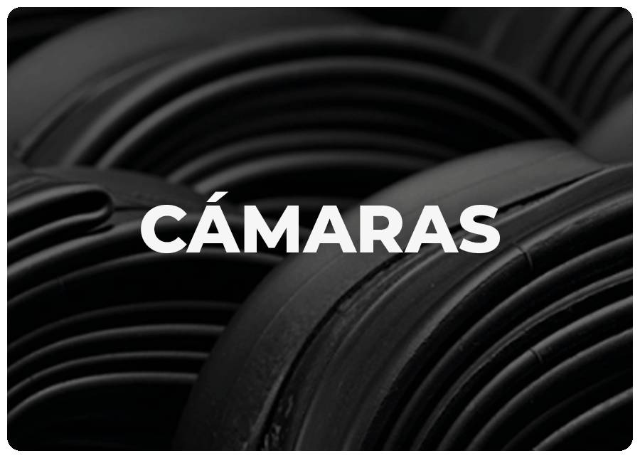 CÁMARAS